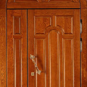 Парадная дверь DR350